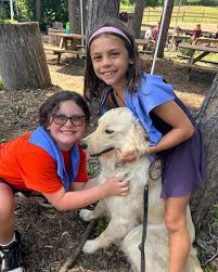 Riding on dog the pines|Three Pines Studio and Gallery - Carina the studio dog lives riding along  with a Maddy in Gene's Mustang convertible . Loves the scarf but couldn't  abide the sunglasses to complete the