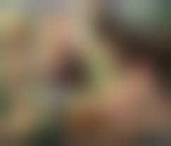 3D beastiality hentai|Bestiality addition to Skyrim