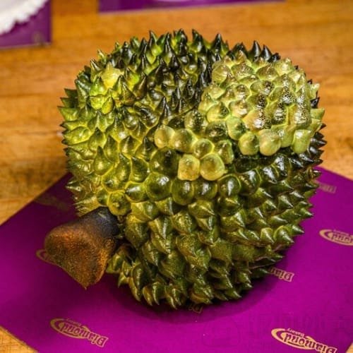 Diamond Bakery by null