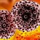 Study finds that chronic stress really does spread cancer in the body 