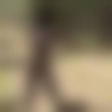 norio sugiura bondage 00015|Page 340 – Exquisite Slave