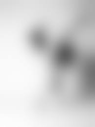 ballet Pose Nude|Pin by Arch Ballet on Nude Tones Arch Ballet Inspo | Dance photography poses,  Ballet dancers, Dancer pose