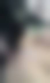 Bestiality pussy licking|Dog Porn - Asian gets her pussy fucked and licked by a K9 - LuxureTV