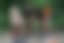 twinks outdoor|Twinks Erick and Gabriel Fuck Outdoors - XVIDEOS.COM