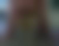 dogs fuck litlle girls|Small dog sex girl - Extreme Porn Video - LuxureTV