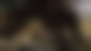 horse sex nude|Rule 34 - animal face animal genitalia anthro ark warrior breasts cum  equine female fur horse horsecock male mammal nude penetration penis public  pussy sex small breasts straight vaginal penetration | 1765391