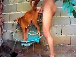 Ae bcman fucks dog gaybeast com siterip jpg x Man fucks male dog