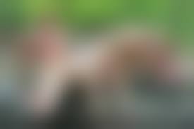 twinks outdoor|Twinks in outdoor sex game | Boy Post - Blog about gay boys and twinks 18+