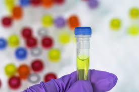 Powdered urine | Natural urine | Fake urine kit | Best synthetic urine | Synthetic pee powdered synthetic urine kit synthetic urine product fake pee pass pass drug tests urine drug test fake pee test kit authentic urine urine temperature fake or synthetic urine heating synthetic urine organic urine purchasing synthetic urine pre mixed synthetic urine bladder bag natural human urine powdered human urine 