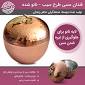 Image result for u202bطرز تهيه کويساديلاي سبزيجات و پنيرu202c