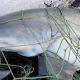 WWF buys $100000 shark fishing licence to stop someone else from using it 
