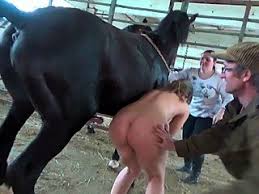 Animal sex beastiality porn jpg x Women horse