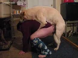 Ced a man ass fucks male dog gaybeast com siterip jpg x Man fucks male dog