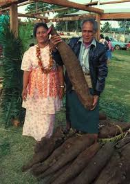 ���� ����� ������� ����� images?q=tbn:ANd9GcTnm3SGUx4WTYWB086dsDxo3tjduuyAzL33xM0IHXPK1z7eKmumPA
