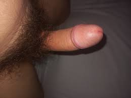 Big hairy dick balls gay porn movies a horny training day completes jpg x Big hairy dick