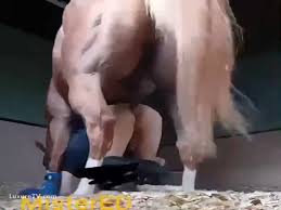 Man fuck a gay horse gaybeast zoophilia porn and man madnessporn extrem sex jpg x Man gets fucked by horse