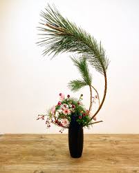 japanese junior high school pussy pics|MCHS, MCN students learn Japanese culture, history, and language - News |  Miriam College