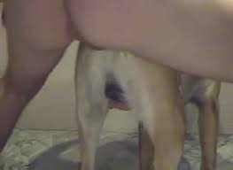 Boy fucks a male dog gay beast com zoophilia porn tube with man extrem sex and taboo porn jpg x Man fucks male dog