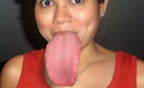 images?q=tbn:ANd9GcTqCrnAwFSiXqBQ0p0L3GZoCZKAdR9py0vOiLQEJe5P11louj2SZw&t=1