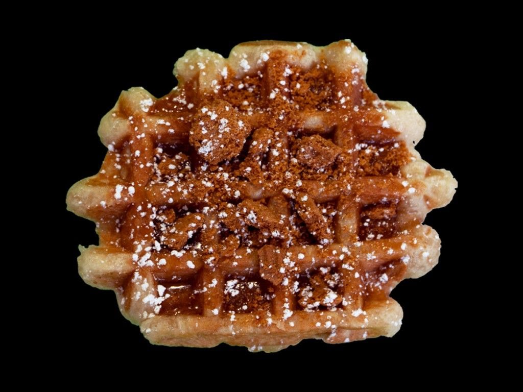 The Dolly Llama by null