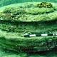 Mysterious underwater Greek 'city' built by microbes, say scientists 