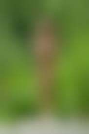 голая прикрывается|