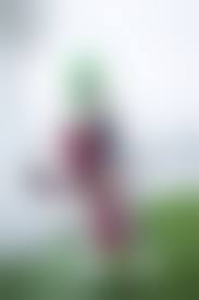 野外露出　熟女ライムさん|ガーターベルト, 下着姿, ストッキング, チョーカー, ハイヒール, ハイレグ, ぱっつん, ピアス, むちむち, 下着, ショートヘアー, 巨乳,  前髪ぱっつん, 爆乳, 茶髪, 複数, 谷間, 野外, 露出, 黒, 黒ストッキング, 鼠径部 - 俺のエロ画像フォルダー