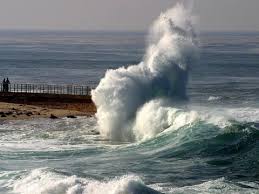http://t3.gstatic.com/images?q=tbn:ANd9GcTsmrQG_HU5jDavfOwV_S_iWMS2e4oa8H3BVjaZkCgWfF3sOTww