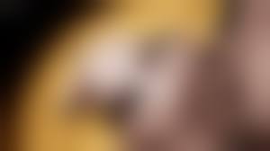  3d guro porn gif|Guro.+gif / funny cocks & best free porn: r34, futanari, shemale, hentai,  femdom and fandom porn