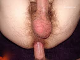 L cazzo gay sex porn hardcore fuck videos berlin geil cocks cum fetish men jpg x Gay man fuck video