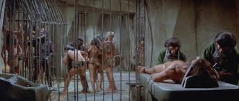 Planet of the apes jpg x Planet of the apes