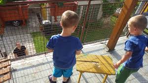 rajce.idnes.cz 2006|Chorvatsko 2006 – dracejt – album na Rajčeti