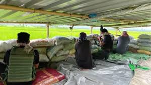 dead girl nude rape|Amazon.com: Movie - Rape Zombie 5 Lust Of The Dead [Japan DVD] ALBSD-1804 :  Movies & TV