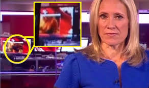 Newsnight also discover their set was boobytrapped with prank phone jpg x News show