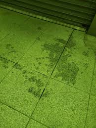 女児　おしっこ|小児科の小児泌尿器科疾患｜横浜市保土ヶ谷区上星川駅徒歩1分の上星川ファミリークリニック｜西谷・和田町