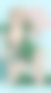 ZoHex   hentai|Charlotte Roselei - Black Clover hentai