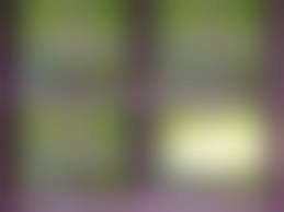 3D femdom shotacon|Lexicon eroticon – Geikokujin