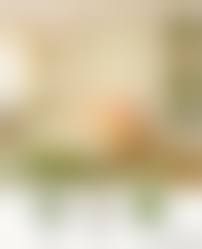 purenudisthost img 1|☆ PAINTBOX - 페인트는 페인트전문 쇼핑몰에서~ 프리미엄 페인트 전문 Shop ☆ 페인트박스 ☆