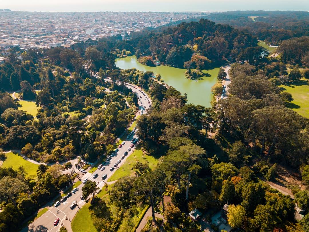 Golden Gate Park by null