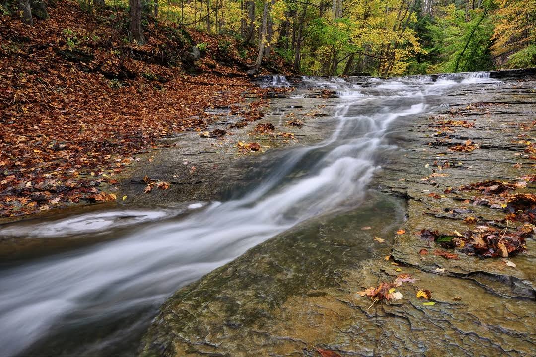 Brandywine Creek by null