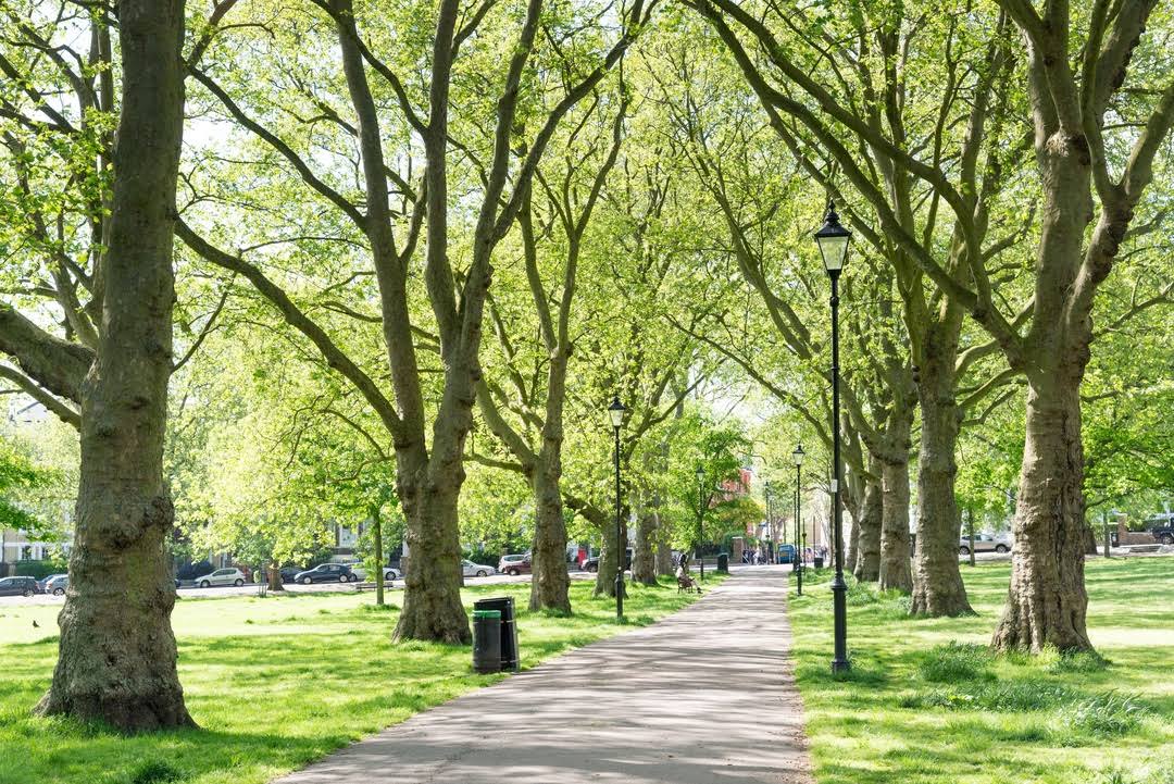 Highbury by null