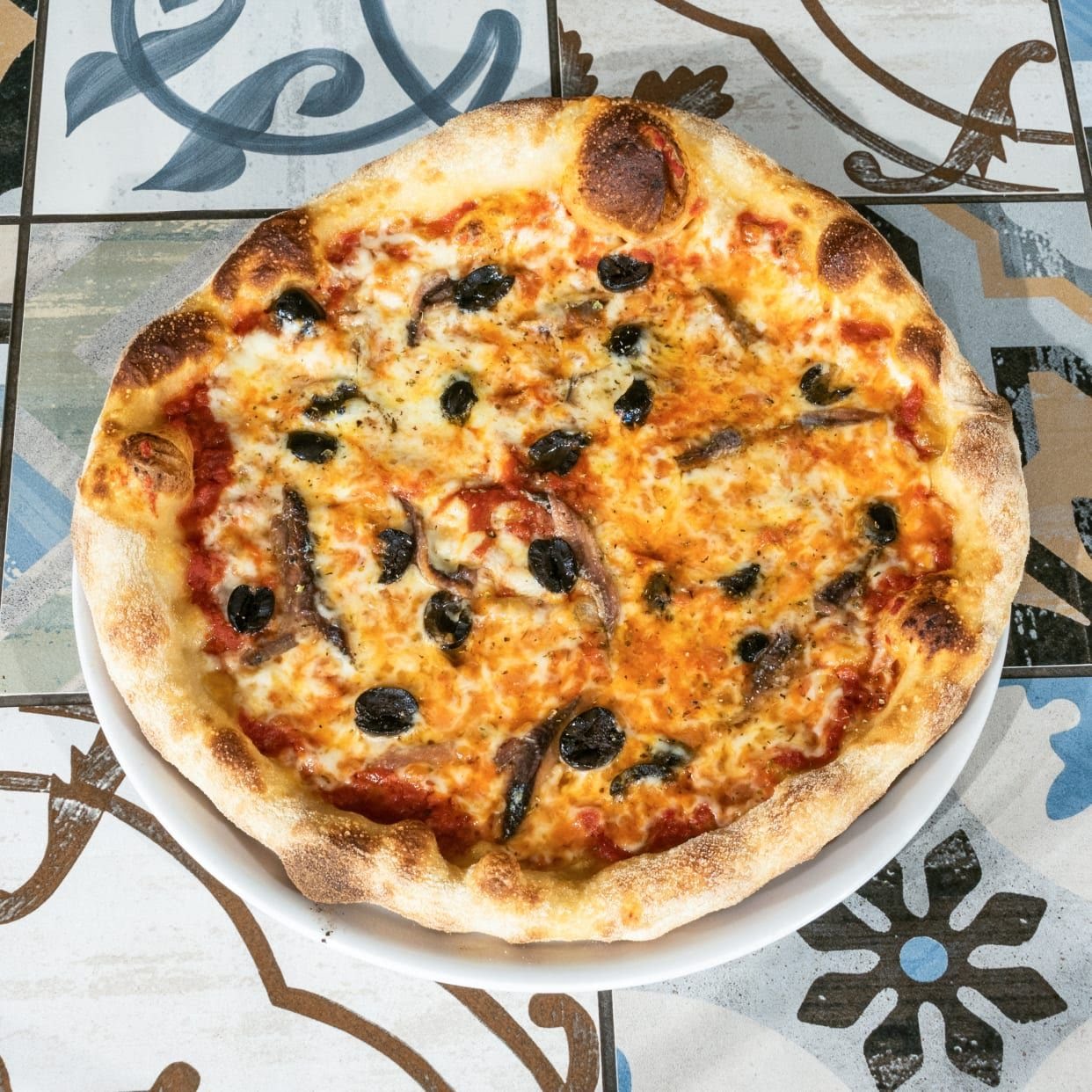 Fondi dal 1936 by null