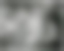 wv nudes|wv/ - Webster Co. Let's get it going