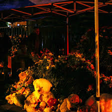 14 russia school girl nude]|Russian schoolgirl shoots classmates, killing one and herself