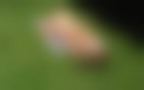 flickr boys nude|File:Gay Garden of Eden.jpg - Wikimedia Commons