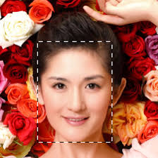 sexinsex|明星合成图 赵薇|