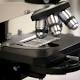 Zika Update: Virus Could Negatively Affect Male Fertility 