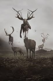 purenudisthost|i12.pixs.ru 003