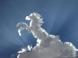 http://t3.gstatic.com/images?q=tbn:CQszzmViLy5xiM:http://tuscriaturas.blogia.com/upload/20070614212218-nubelyn-caballo-nuboso.jpg