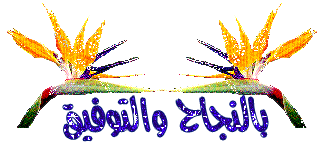 الشروق